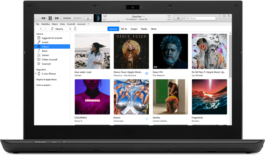 La finestra di iTunes con una libreria di album multipli.