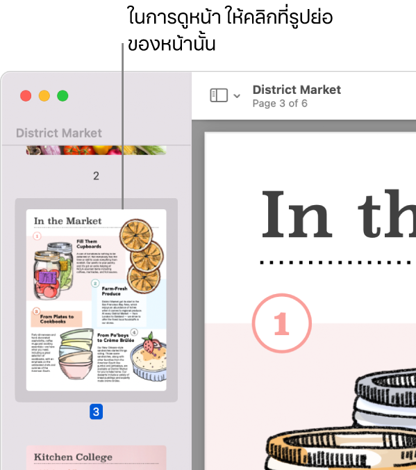 PDF ที่มีรูปย่อถูกแสดงในแถบด้านข้าง