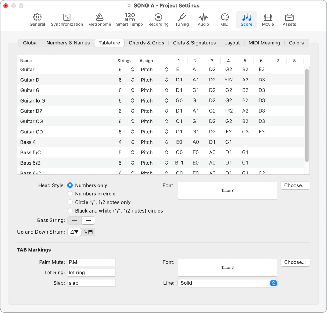 Figure. Tablature project settings.