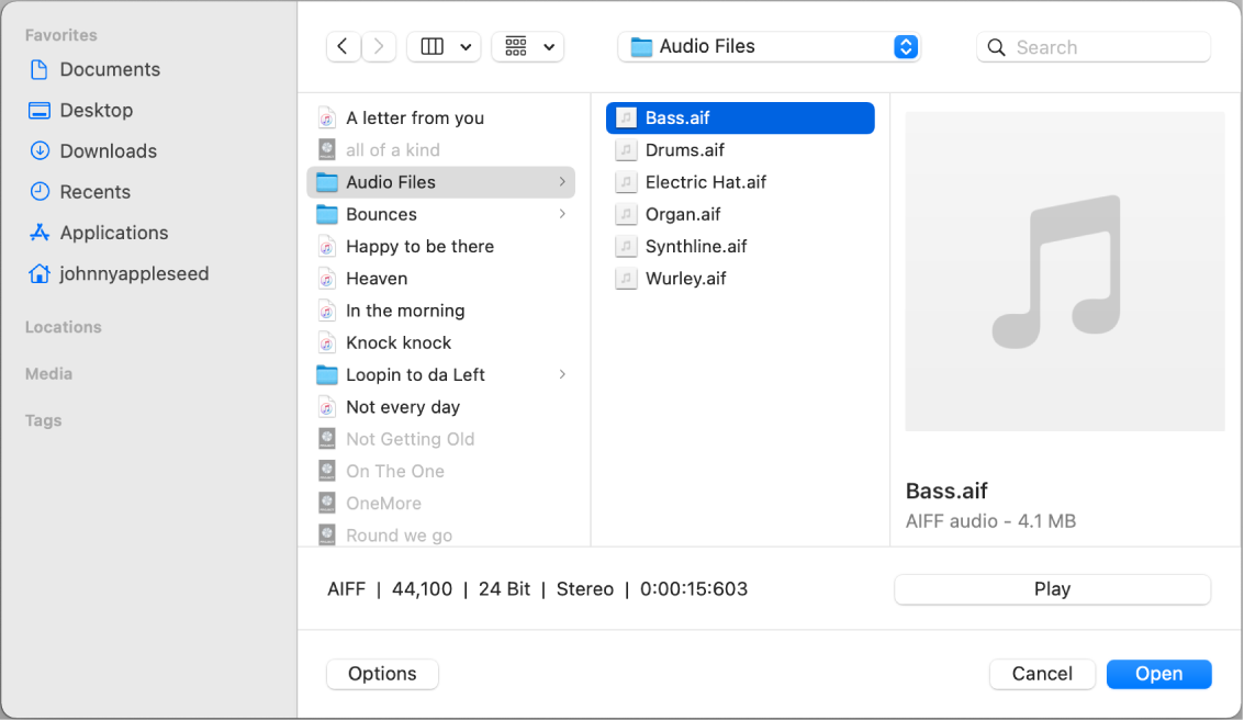 Figure. Open File dialog.