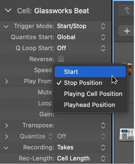 Figure. Play From setting in the Cell inspector.