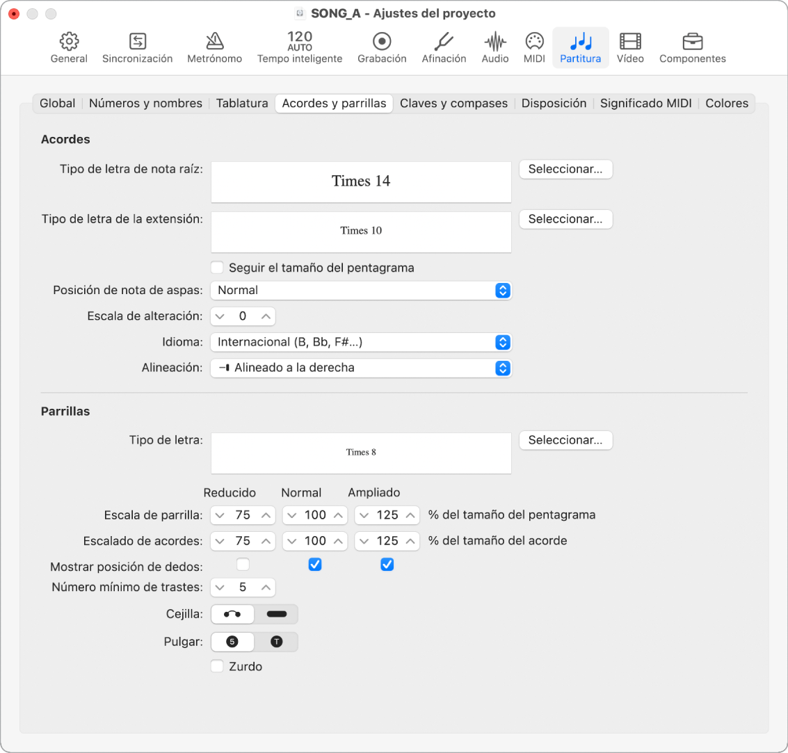 Ilustración. Pestaña “Acordes y parrillas” de ajustes del proyecto.
