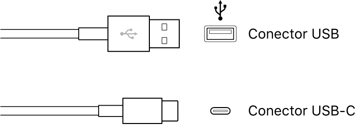 Ilustración. Ilustración de los tipos de conectores USB y USB-C.