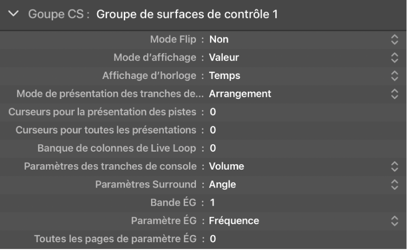 Figure. Paramètres d’affichage de groupe de surfaces de contrôle.