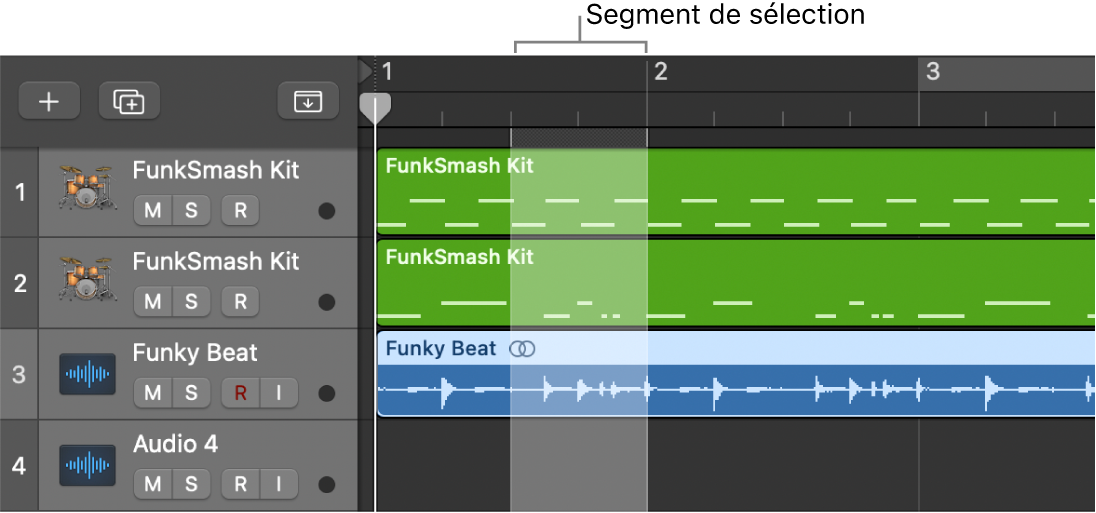 Figure. Segment de sélection dans la règle.