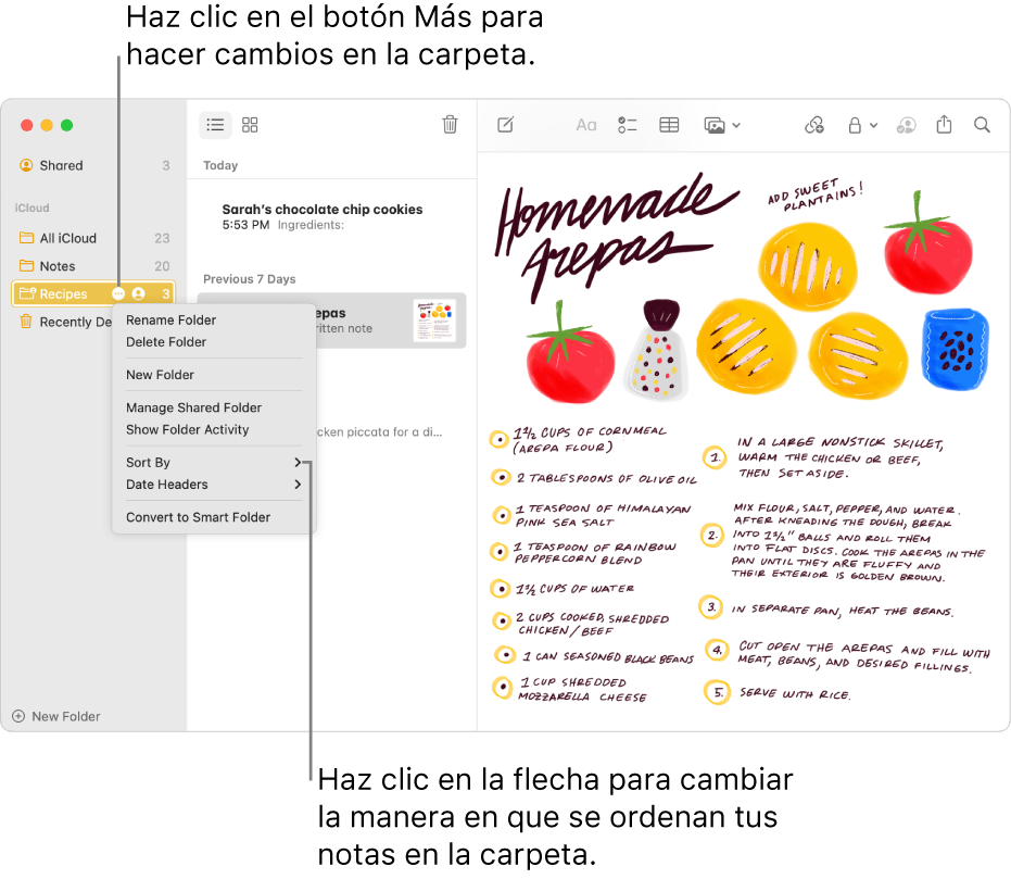 La ventana Notas con una carpeta en la barra lateral mostrando el botón Más, en el que puedes hacer cambios en una carpeta. La opción para ordenar se encuentra arriba de la lista de notas en la parte de en medio; esta cambia el orden de las notas: haz clic en la flecha para seleccionar otro orden.