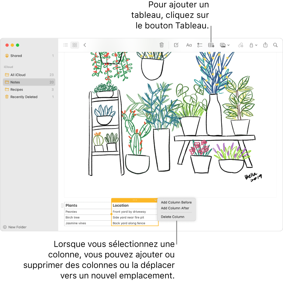 La fenêtre Notes affichant le bouton Tableau. Cliquez dessus pour ajouter un tableau. Dans une note, une colonne de tableau est sélectionnée ; vous pouvez ajouter ou supprimer des colonnes, ou faire glisser la colonne une vers un nouvel emplacement.