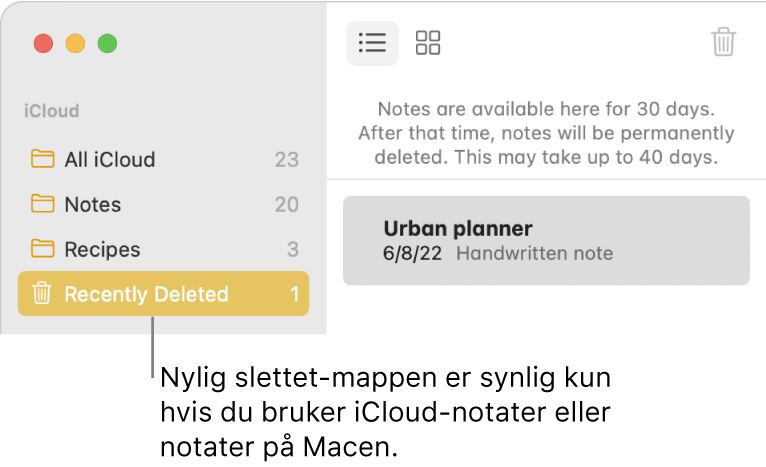 Notater-vinduet med Nylig slettet-mappen i sidepanelet og et nylig slettet notat. Nylig slettet-mappen er bare synlig hvis du bruker iCloud-notater eller notater på Macen.