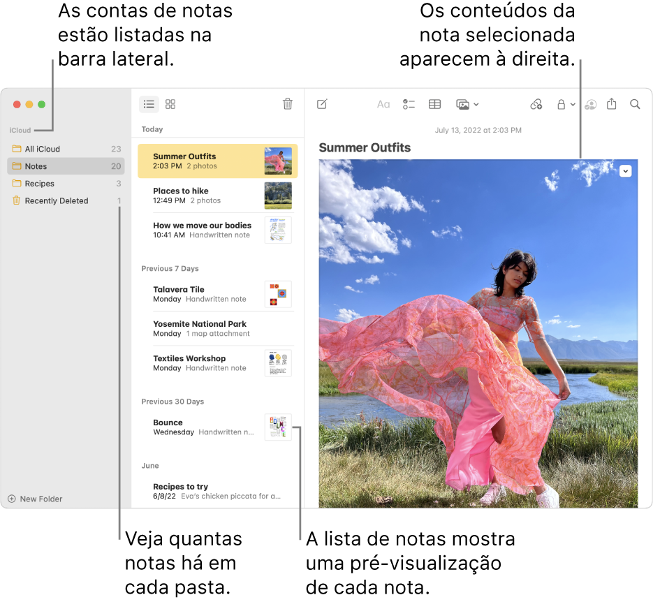 A janela da aplicação Notas com todas as suas contas configuradas e pastas listadas na barra lateral à esquerda, a lista de notas ao centro a mostrar uma pré‑visualização de cada nota e o conteúdo da nota selecionada apresentado à direita. O número de notas aparece ao lado de cada pasta.