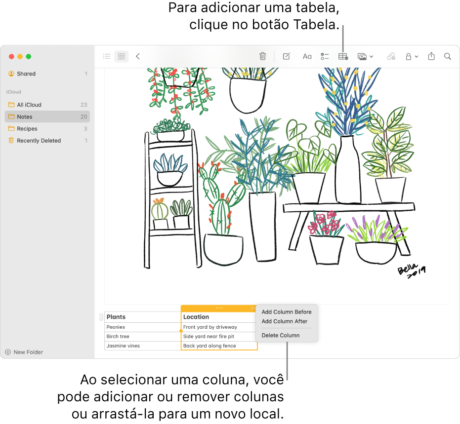 A janela Notas a mostrar o botão Tabela, clique-lhe para adicionar uma tabela. Dentro do conteúdo da nota, é selecionada uma coluna da tabela para que adicione ou remova colunas ou para que a arraste para um novo local.