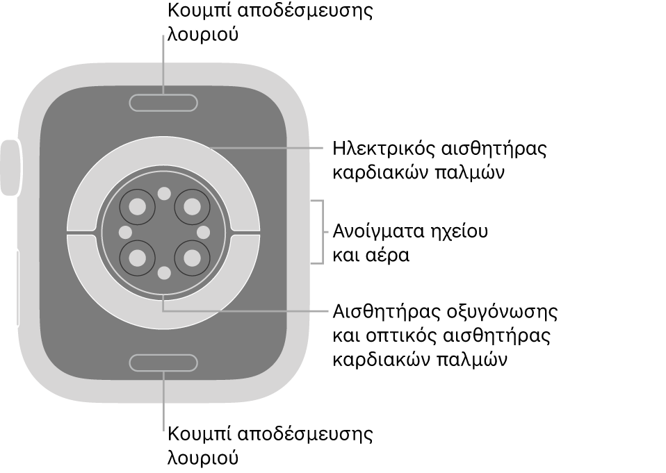 Το πίσω μέρος του Apple Watch Series 6, με τα κουμπιά αποδέσμευσης του λουριού στο πάνω και κάτω μέρος, τους ηλεκτρικούς αισθητήρες καρδιάς, τους οπτικούς αισθητήρες καρδιάς και τους αισθητήρες οξυγόνωσης στο κέντρο, και το ηχείο και τα ανοίγματα εξαερισμού στο πλάι.