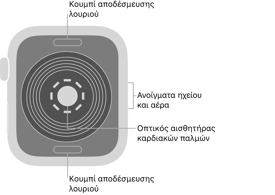 Το πίσω μέρος του Apple Watch SE, με τα κουμπιά αποδέσμευσης του λουριού στο πάνω και κάτω μέρος, τον οπτικό αισθητήρα καρδιάς στο μέσο, και το ηχείο και τα ανοίγματα εξαερισμού στο πλάι.