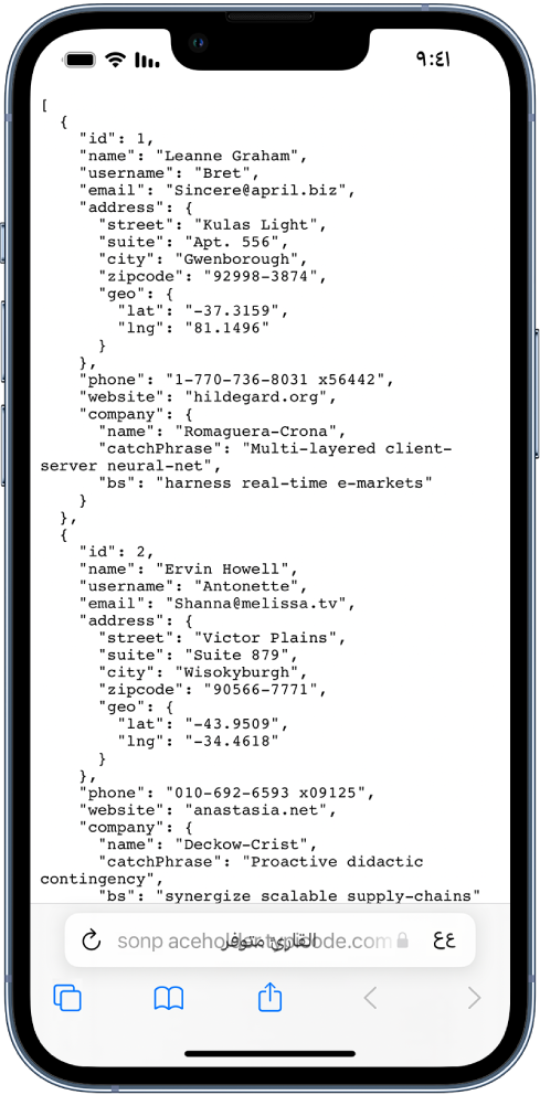 مثال لبيانات JSON.