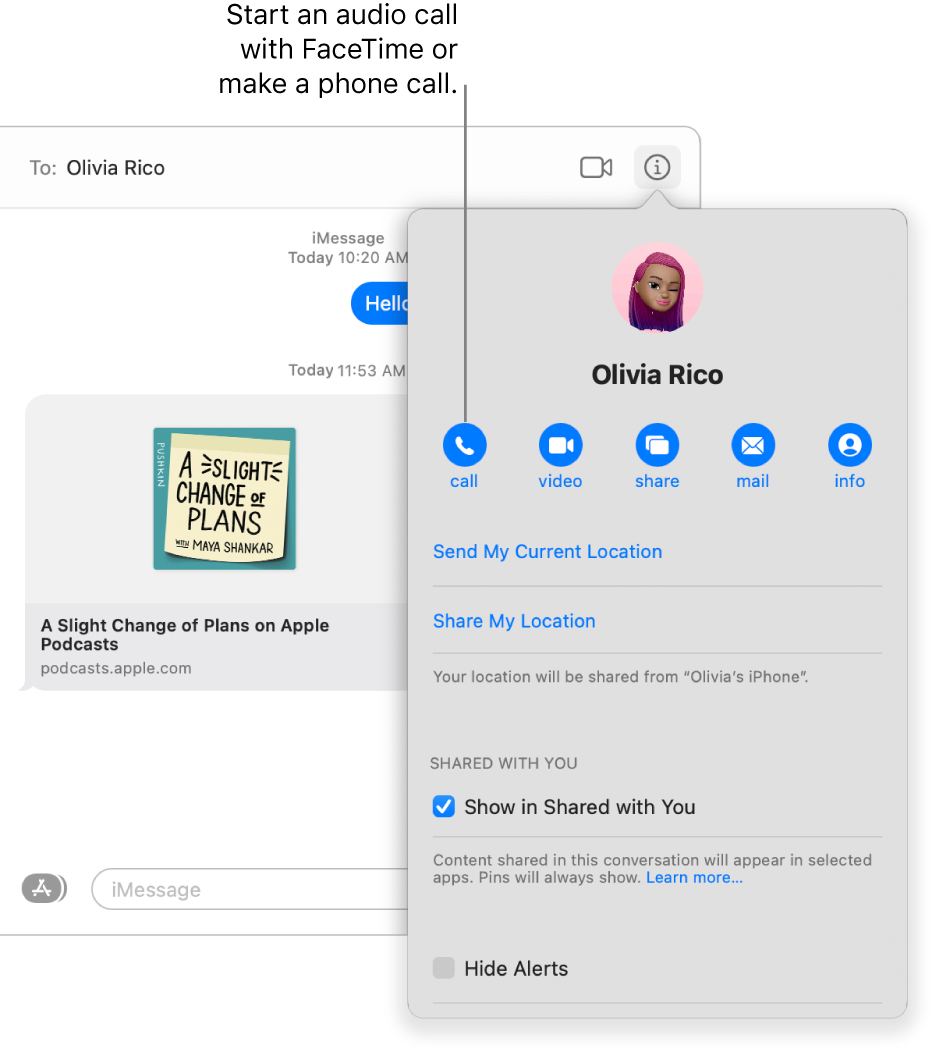 Details view which appears after you click the Details button in a conversation. Use the call button on the left to start an audio call with FaceTime or make a phone call.