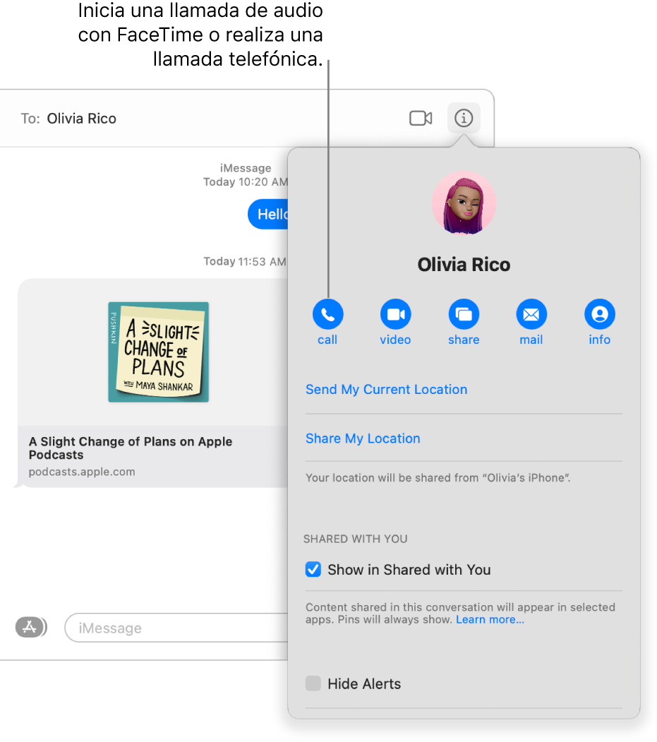 Vista de detalles, que aparece después de haber hecho clic en el botón Detalles en la conversación. Usa el botón de llamada a la izquierda para iniciar una llamada de audio con FaceTime o realizar una llamada telefónica.