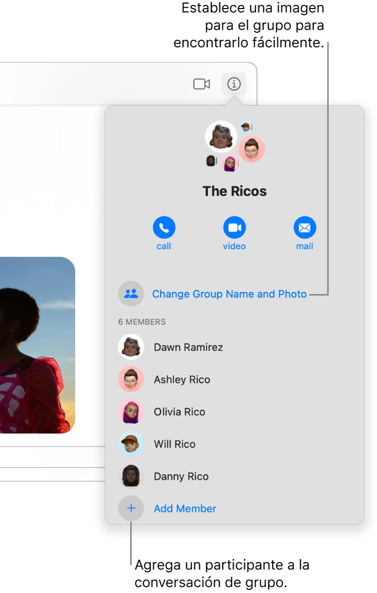 Vista de Detalles, que aparece después de hacer clic en el botón Detalles en una conversación grupal. La opción Agregar miembro se muestra debajo del nombre del último participante de la lista. Puedes cambiar el nombre del grupo y la foto que está arriba de los nombres de los participantes.