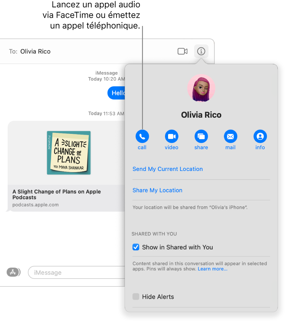 La vue Détails, qui s’affiche après que vous avez cliqué sur le bouton Détails dans une conversation. Utilisez le bouton d’appel à gauche pour démarrer un appel audio avec FaceTime ou passer un appel.