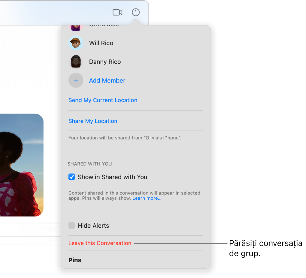 Vizualizarea Detalii care apare după ce faceți clic pe butonul Detalii în cadrul unei conversații de grup. Butonul “Părăsește conversația” este lângă partea de jos a dialogului.