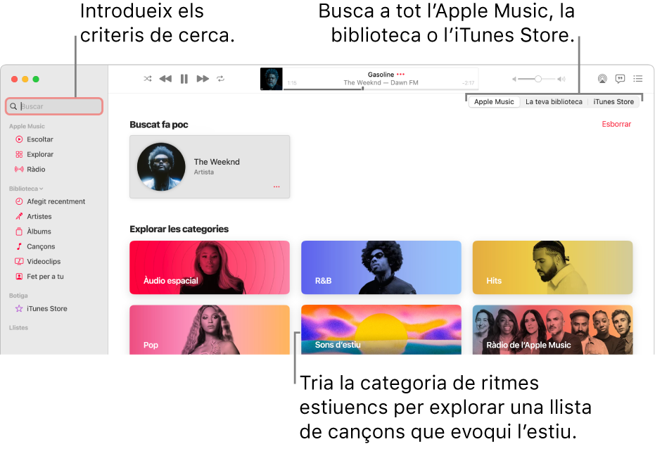 Finestra de l’Apple Music que mostra el camp de cerca a l’angle superior esquerre, la llista de categories al centre de la finestra, i l’Apple Music, la teva biblioteca o l’iTunes Store disponible a l’angle superior dret. Introdueix els criteris de cerca al camp de cerca i, aleshores, selecciona l’opció per fer la cerca a tot l’Apple Music, només a la teva biblioteca o a l’iTunes Store.