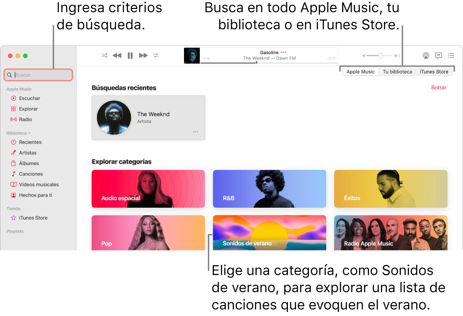 La ventana de Apple Music mostrando el campo de búsqueda en la esquina superior izquierda, la lista de categorías en el centro de la ventana, y la opción Apple Music, Tu biblioteca o iTunes Store disponible en la esquina superior derecha. Ingresa criterios de búsqueda en el campo de búsqueda y selecciona buscar en todo Apple Music, sólo en tu biblioteca o iTunes Store.