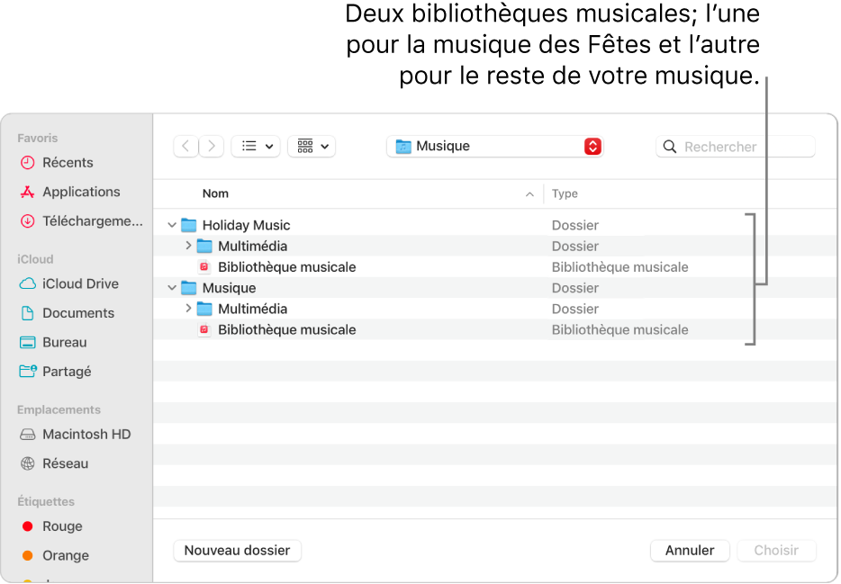 La fenêtre du Finder affichant plusieurs bibliothèques : une pour la musique des Fêtes et l’autre pour le reste de votre musique.