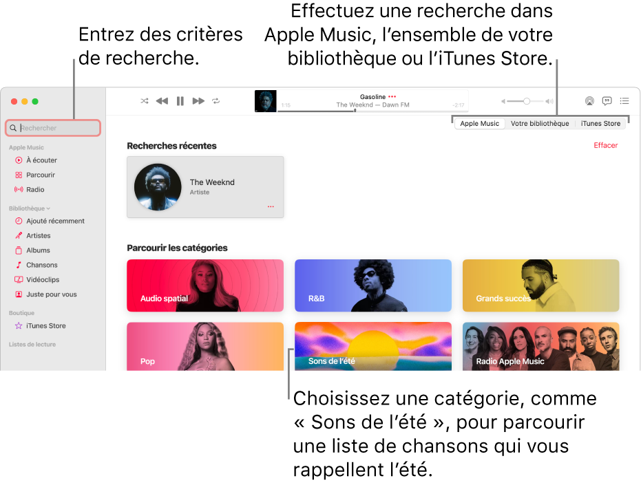 La fenêtre Apple Music, avec le champ de recherche en haut à gauche de la fenêtre, la liste de catégories au centre de la fenêtre et « Apple Music », « Votre bibliothèque » et « iTunes Store » disponibles en haut à droite de la fenêtre. Entrez des critères de recherche dans le champ de recherche, puis choisissez d’effectuer la recherche dans tout Apple Music, seulement dans votre bibliothèque ou dans l’iTunes Store.