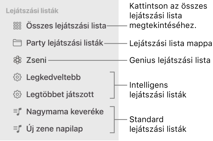 A Zene oldalsávon különböző típusú lejátszási listák láthatók: Genius, Intelligens és általános lejátszási listák. Az összes lejátszási lista megtekintéséhez kattintson az Összes lejátszási lista elemre.