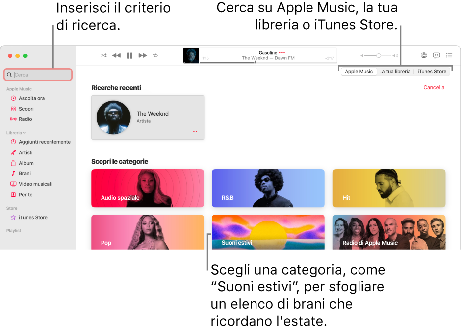 La finestra di Apple Music che mostra il campo di ricerca nell'angolo in alto a sinistra, l'elenco delle categorie al centro della finestra e Apple Music, “La tua libreria” o iTunes Store nell'angolo in alto a destra. Inserisci i criteri di ricerca nel campo, quindi scegli se cercare su tutto Apple Music, solo nella libreria o su iTunes Store.