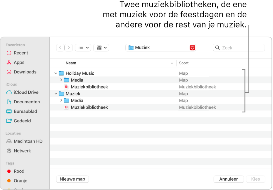 Het Finder-venster met meerdere bibliotheken. Een met muziek voor de feestdagen en een voor de rest van je muziek.