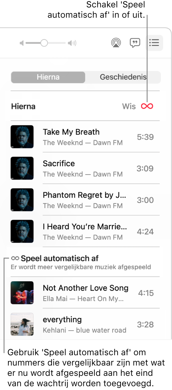 De wachtrij 'Hierna'. Klik op de knop voor automatisch afspelen om deze functie in of uit te schakelen. Wanneer 'Speel automatisch af' is ingeschakeld, worden aan het einde van de wachtrij vergelijkbare nummers toegevoegd.
