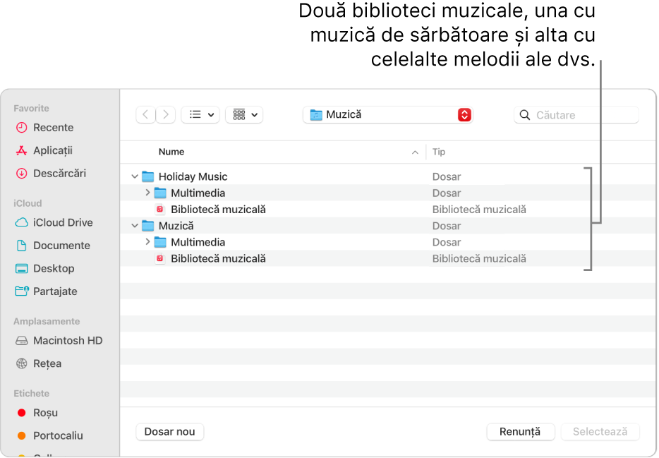 Fereastra Finder afișând mai multe biblioteci – una pentru muzica de sărbători și cealaltă pentru restul muzicii.
