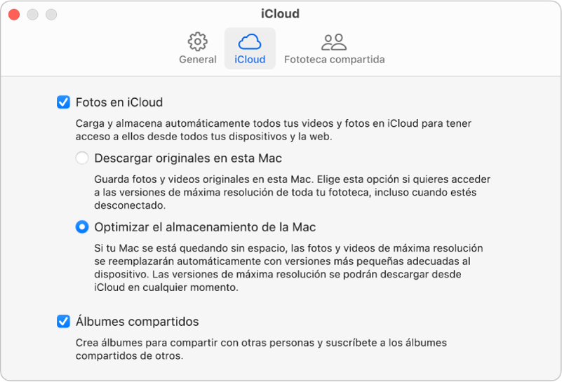 El panel iCloud de la configuración de Fotos.