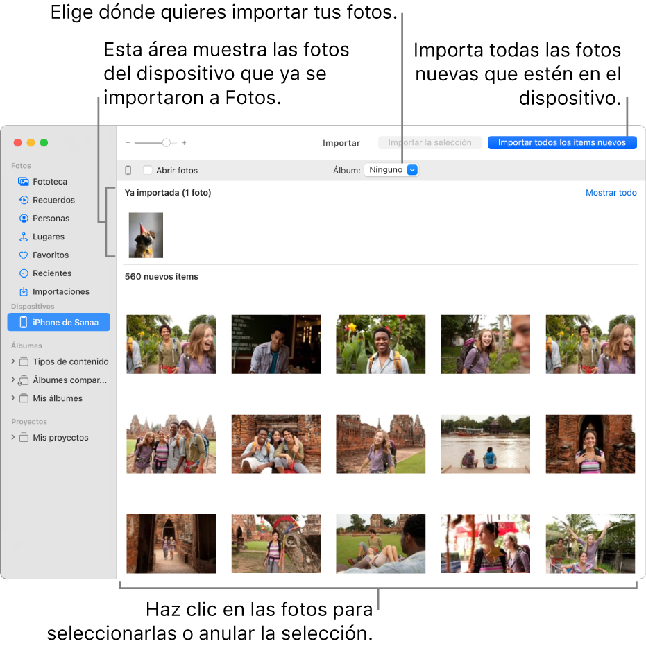 Las fotos del dispositivo que ya has importado se muestran en la parte superior de la ventana Importar, mientras que las fotos nuevas se presentan en la parte inferior. En la parte superior central se encuentra el menú desplegable Álbum. El botón “Importar todos los ítems nuevos” está en la parte superior derecha.