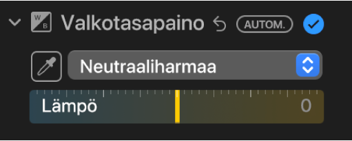 Valkotasapainosäätimet Säädöt-paneelissa.