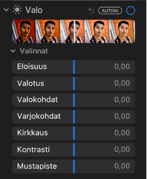 Säädot-paneelin Valoisuus-kohdassa näkyy säätimet eloisuudelle, valotukselle, valokohdille, varjoille, kirkkaudelle, kontrastille ja mustapisteelle.