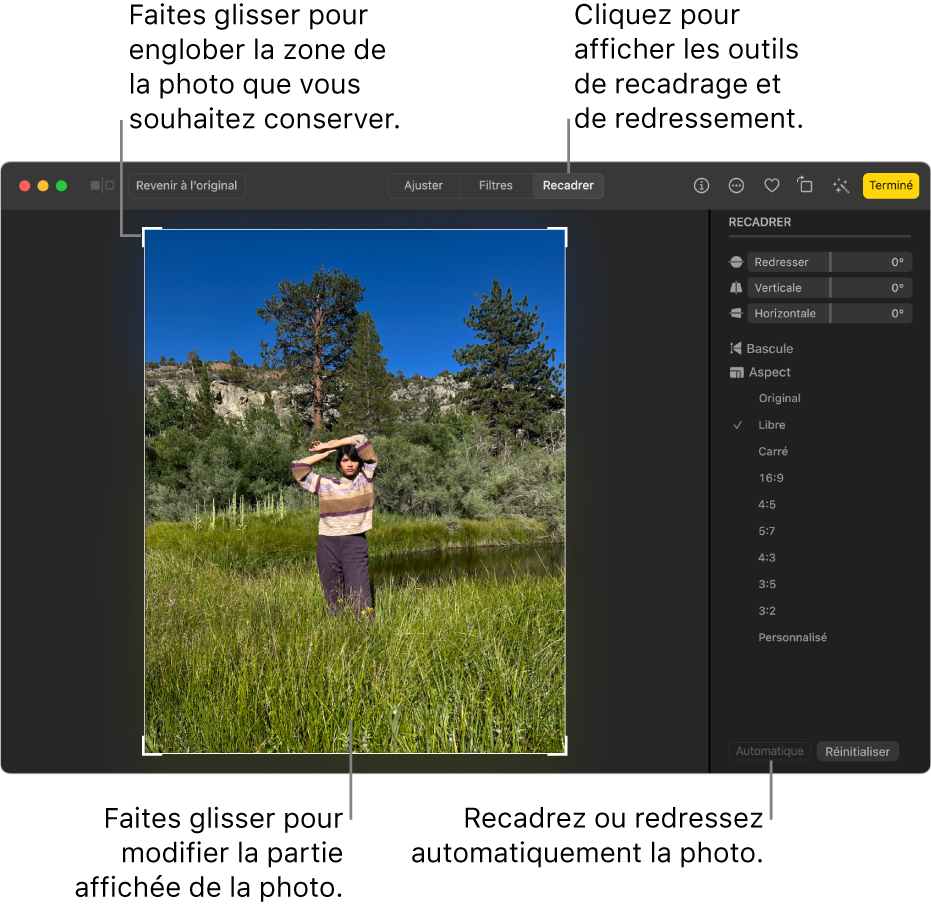 Une photo en mode édition, avec l’option Recadrer sélectionnée dans la barre d’outils, un rectangle de sélection autour de la photo, de même que des curseurs de redressement, des options de mise à l’échelle et les boutons Auto. et Réinitialiser à droite.