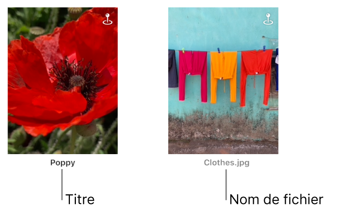 Deux photos, l’une avec un titre en dessous et une autre avec un nom de fichier en dessous.