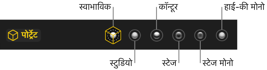 पोर्ट्रेट मोड लाइटिंग प्रभाव के विकल्प, जिसमें शामिल हैं (बाएँ से दाएँ) प्राकृतिक, स्टूडियो, कॉन्टूर, स्टेज, स्टेज मोनो और हाई-की मोनो।