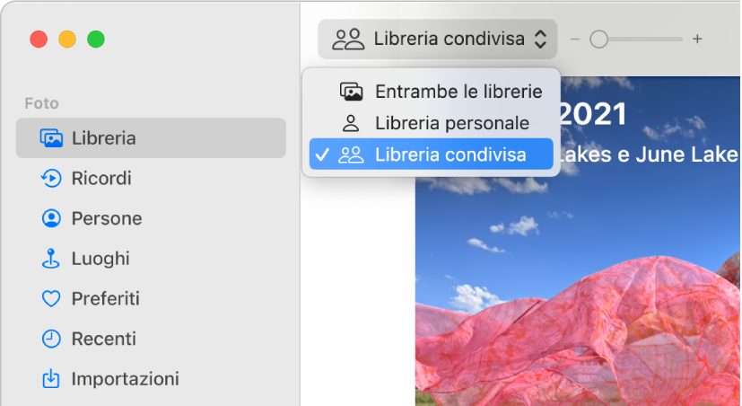 Il menu a comparsa Libreria nella barra degli strumenti impostato su “Libreria condivisa”.
