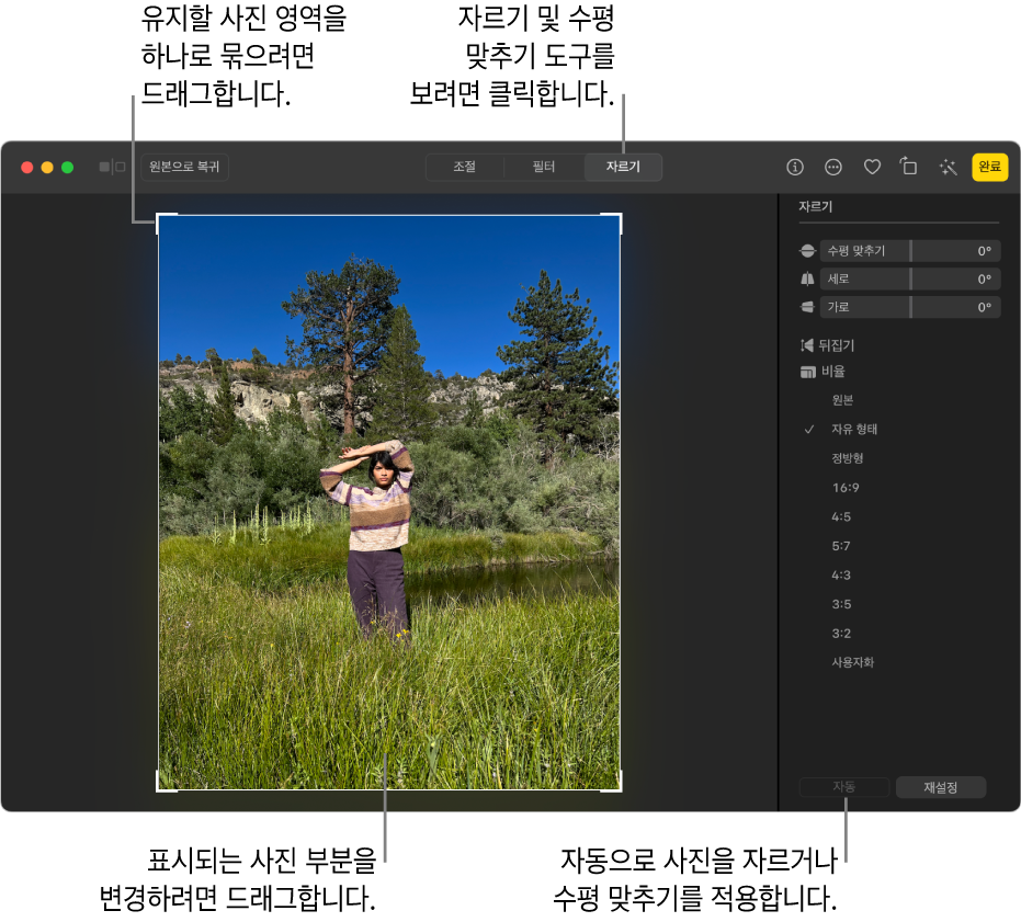 도구 막대에 자르기가 선택되어 있고, 선택 부분을 지정하는 사진 주위의 직사각형, 수평 맞추기 슬라이더, 영상비 옵션, 그리고 오른쪽에 자동 및 재설정 버튼이 있는 편집 보기 상태의 사진.