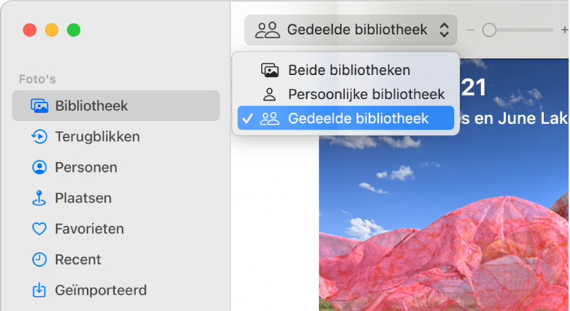 Het venstermenu 'Bibliotheek' in de knoppenbalk is ingesteld op 'Gedeelde bibliotheek'.