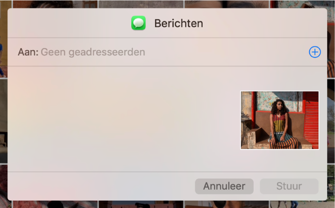 Een dialoogvenster voor het toevoegen van ontvangers bij het delen van foto's uit de app Foto's via Berichten.