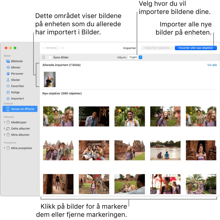 Bilder på enheten som du allerede har importert, vises øverst i Importer-vinduet. Nye bilder vises nederst. Øverst i midten vises Album-lokalmenyen. Importer alle nye objekter-knappen er øverst til høyre.