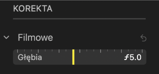 Narzędzia korygowania efektu filmowego z suwakiem głębi ostrości.