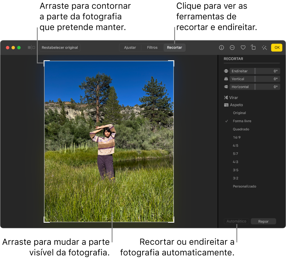 Uma fotografia na vista de edição com a opção Recortar selecionada na barra de ferramentas, um retângulo de seleção em volta da fotografia, niveladores de endireitamento, opções de proporção e os botões Automático e Repor.