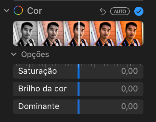 A área Cor do painel Ajustar, com os niveladores de Saturação, “Brilho da cor” e Tom.
