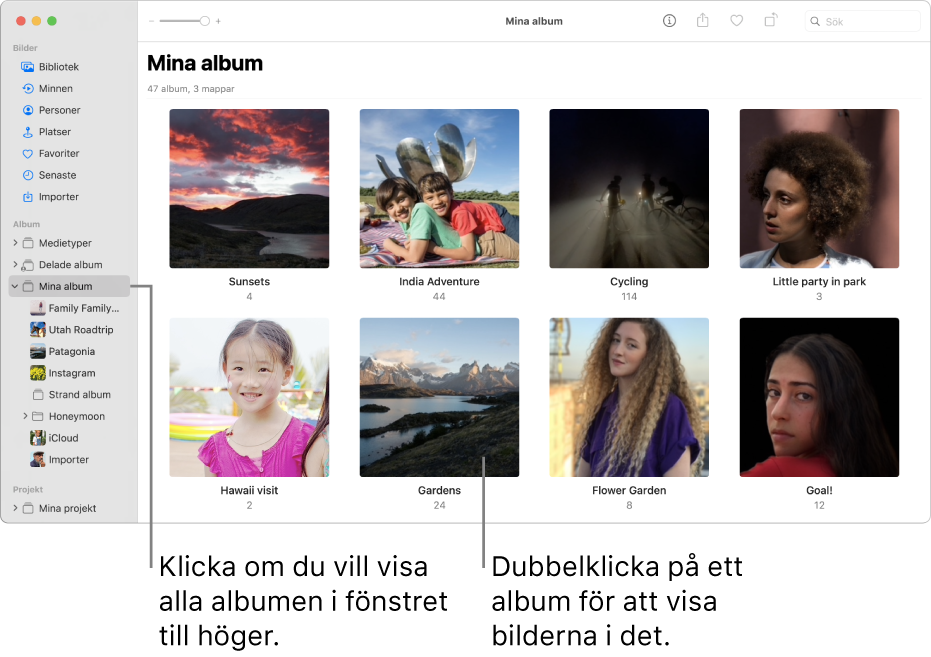 Bilder-fönster med Mina album markerat i sidofältet. De album du har skapat visas i fönstret till höger.