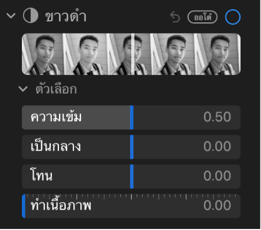 พื้นที่ขาวดำของบานหน้าต่างการปรับซึ่งแสดงแถบเลื่อนสำหรับความเข้ม ความเป็นกลาง โทนสี และเกรน