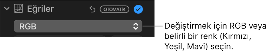 Açılır menüde RGB seçiliyken görülen Ayarla bölümündeki Eğriler denetimleri.