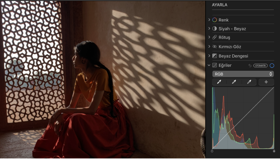 Eğriler ayarlamalarından önce fotoğraf.